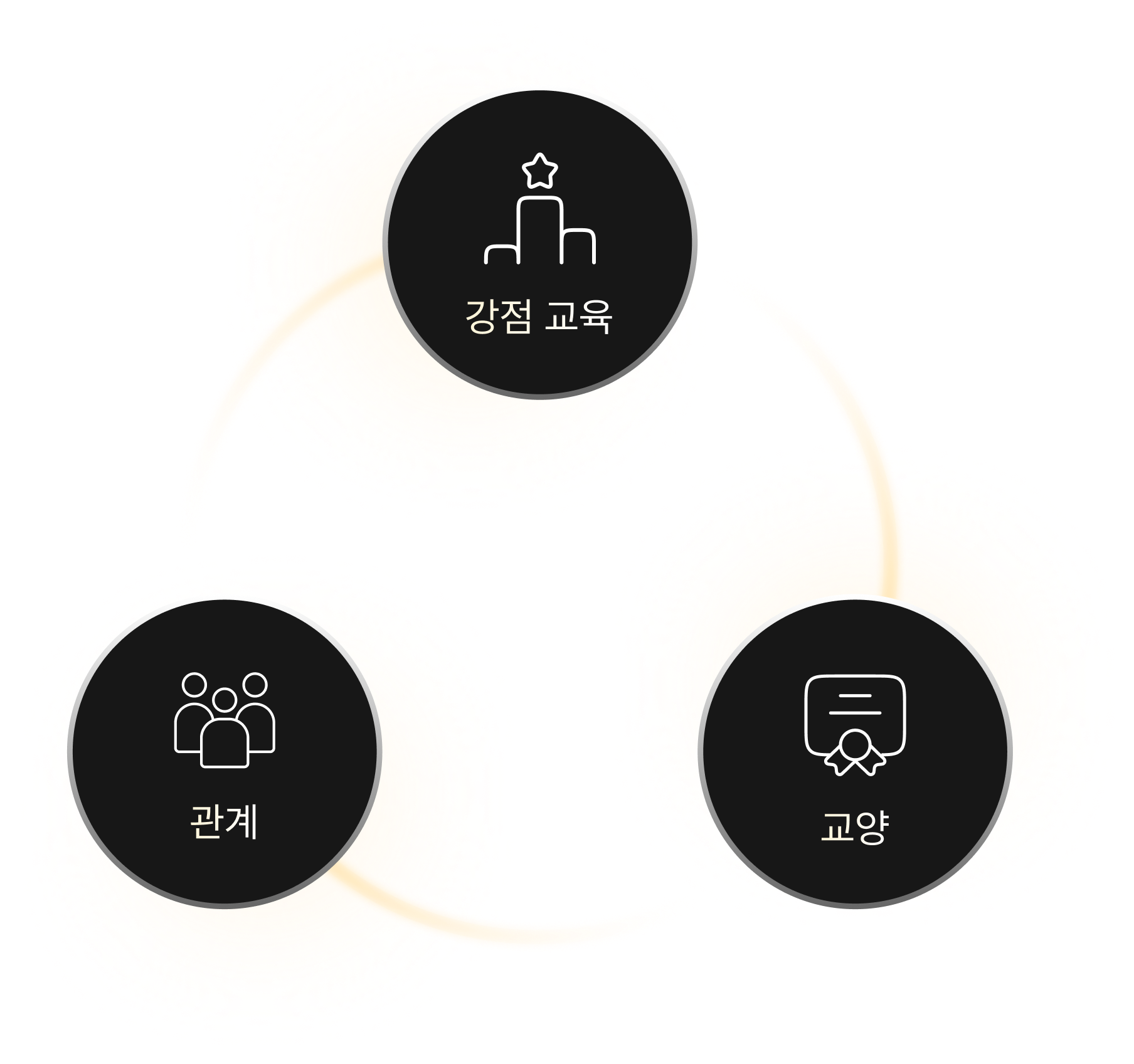 교육 구조
